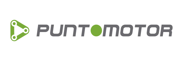 logo punto